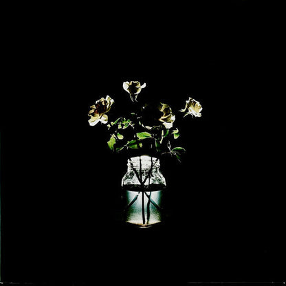 Billy Strings / Renewal - LP - www.Shopthatapp.com