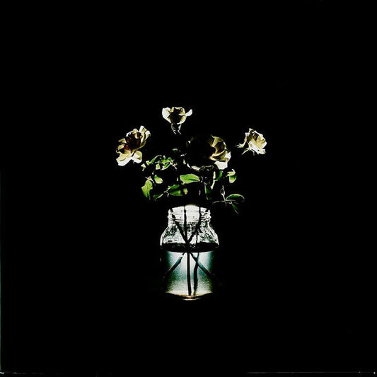 Billy Strings / Renewal - LP - www.Shopthatapp.com