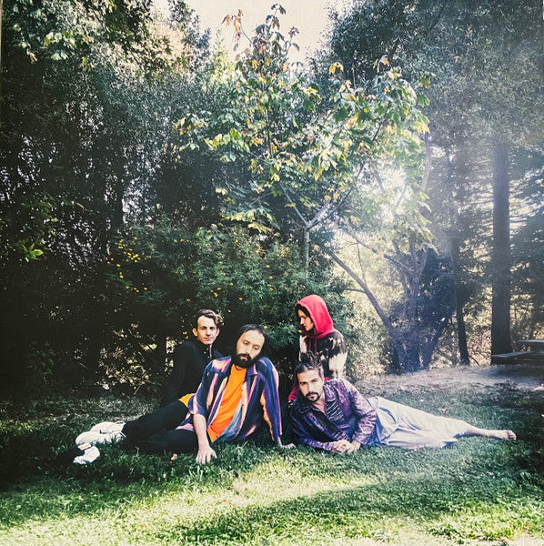 Big Thief / U.F.O.F. - LP - www.Shopthatapp.com