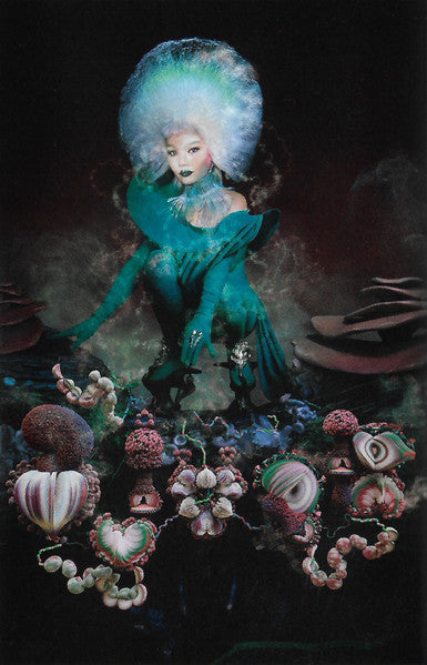 Björk / Fossora - k7 (tape discogs) - www.Shopthatapp.com