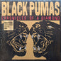 Black Pumas / Chronicles Of A Diamond - LP CLEAR - www.Shopthatapp.com