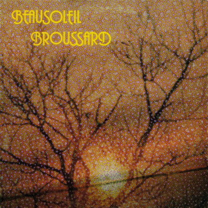 Beausoleil Broussard / Beausoleil Broussard - LP Used - www.Shopthatapp.com