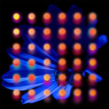 Anberlin / Nevertake - LP COLOR - www.Shopthatapp.com