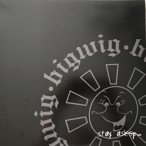 Bigwig / Stay Asleep - LP Used - www.Shopthatapp.com