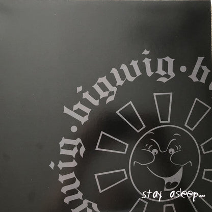 Bigwig / Stay Asleep - LP Used - www.Shopthatapp.com