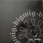 Bigwig / Stay Asleep - LP Used - www.Shopthatapp.com