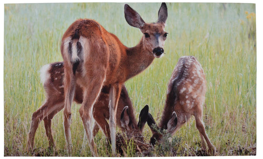 Paillasson cerfs. Recyclé