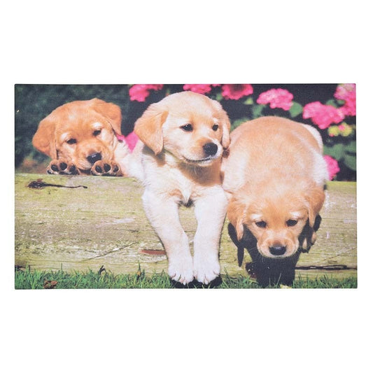 Chiots paillassons