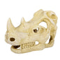 REPTIZOO Rhino Skull Hide Cave #ERS35L-Pet supplies And goodies-www.Shopthatapp.com-Reptilemart.ca