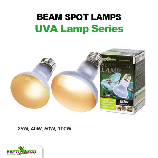 Lampes à faisceau REPTIZOO