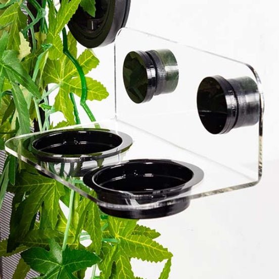 REPTIZOO Magnetic Gecko Ledge Feeder - www.Shopthatapp.com