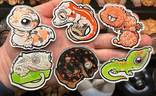 Magnetischer Lufterfrischer für Reptilien
