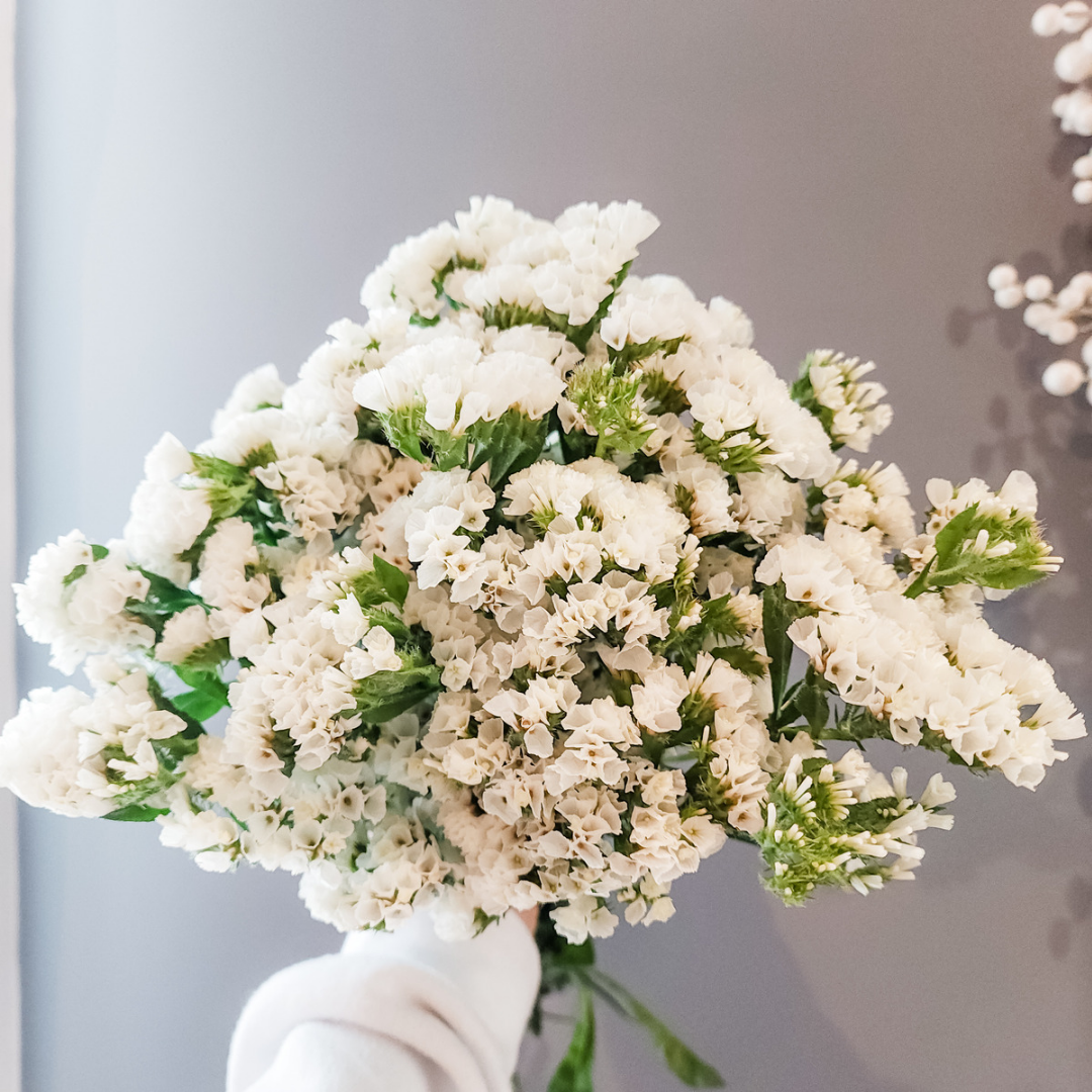 Statice Flower White - Www.Shopthatapp.com