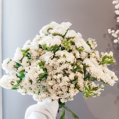 Statice Flower White - Www.Shopthatapp.com