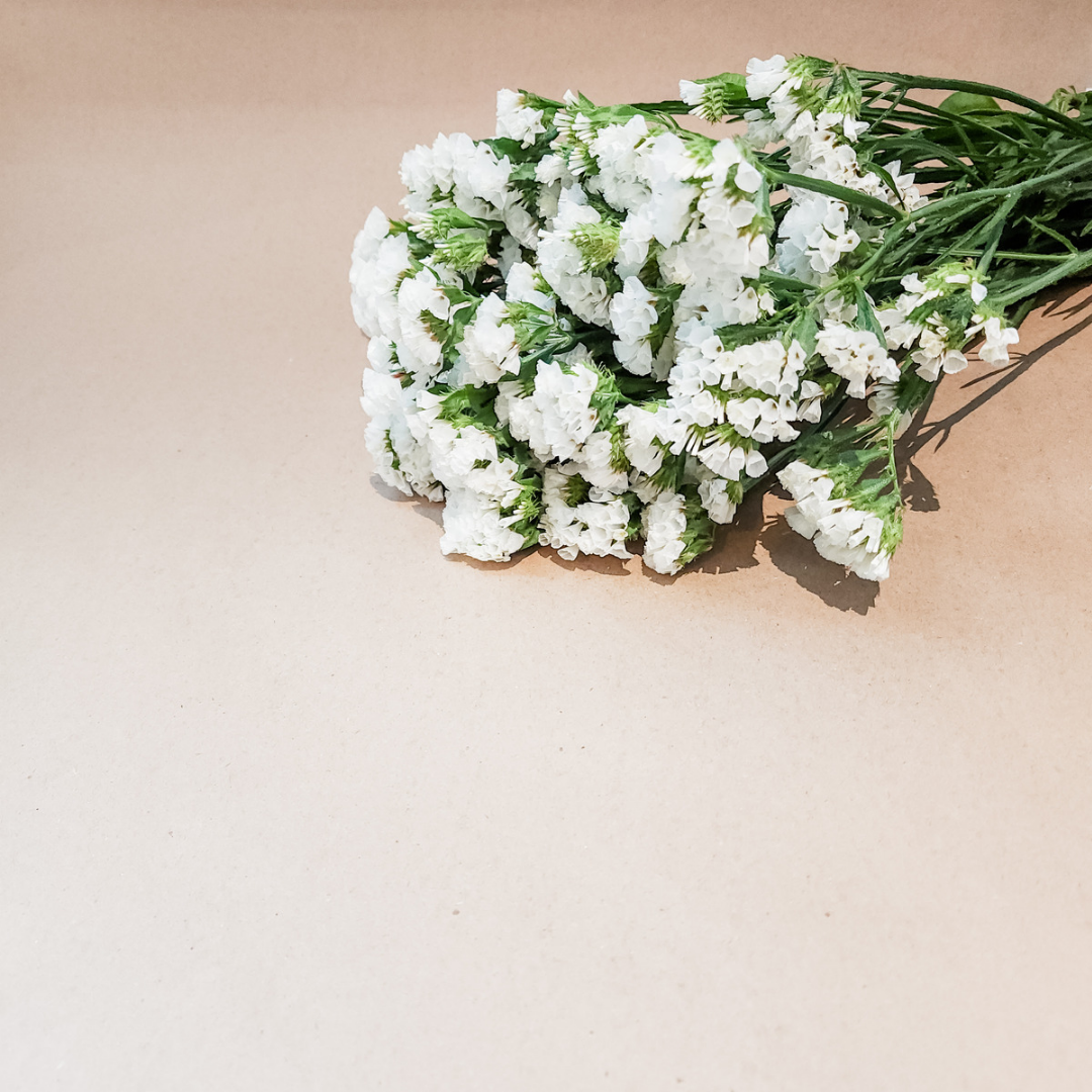 Statice Flower White - Www.Shopthatapp.com
