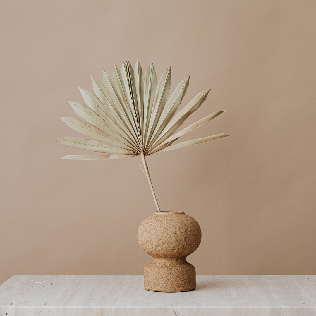 Sun Palm - Www.Shopthatapp.com