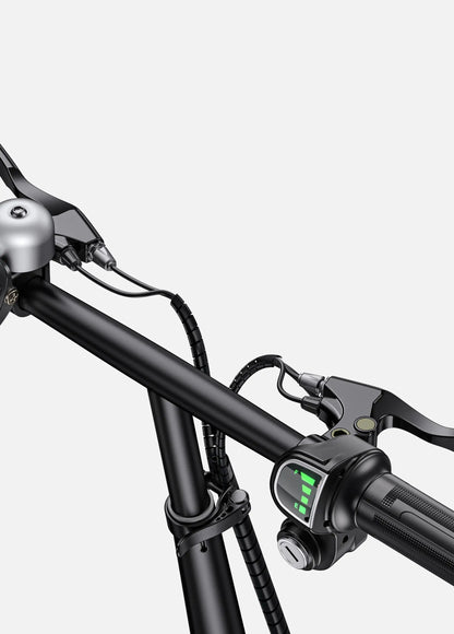 ENGWE T14 250W 55 km Range Max Speed 25 km/h Folding Electric Bike 10Ah - www.Shopthatapp.com