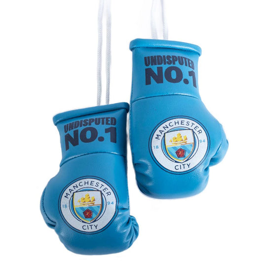 Manchester City FC Mini Boxing Gloves - www.Shopthatapp.com