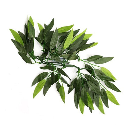 Plantes de terrarium REPTIZOO – Heternanthera Zosterifolia 20" #TP001 