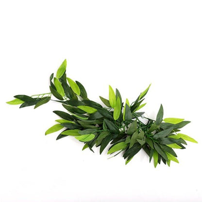 Plantes de terrarium REPTIZOO – Heternanthera Zosterifolia 20" #TP001 
