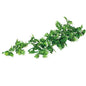 REPTIZOO Terrarium Plants - Monstera Leaf 16" #TP019