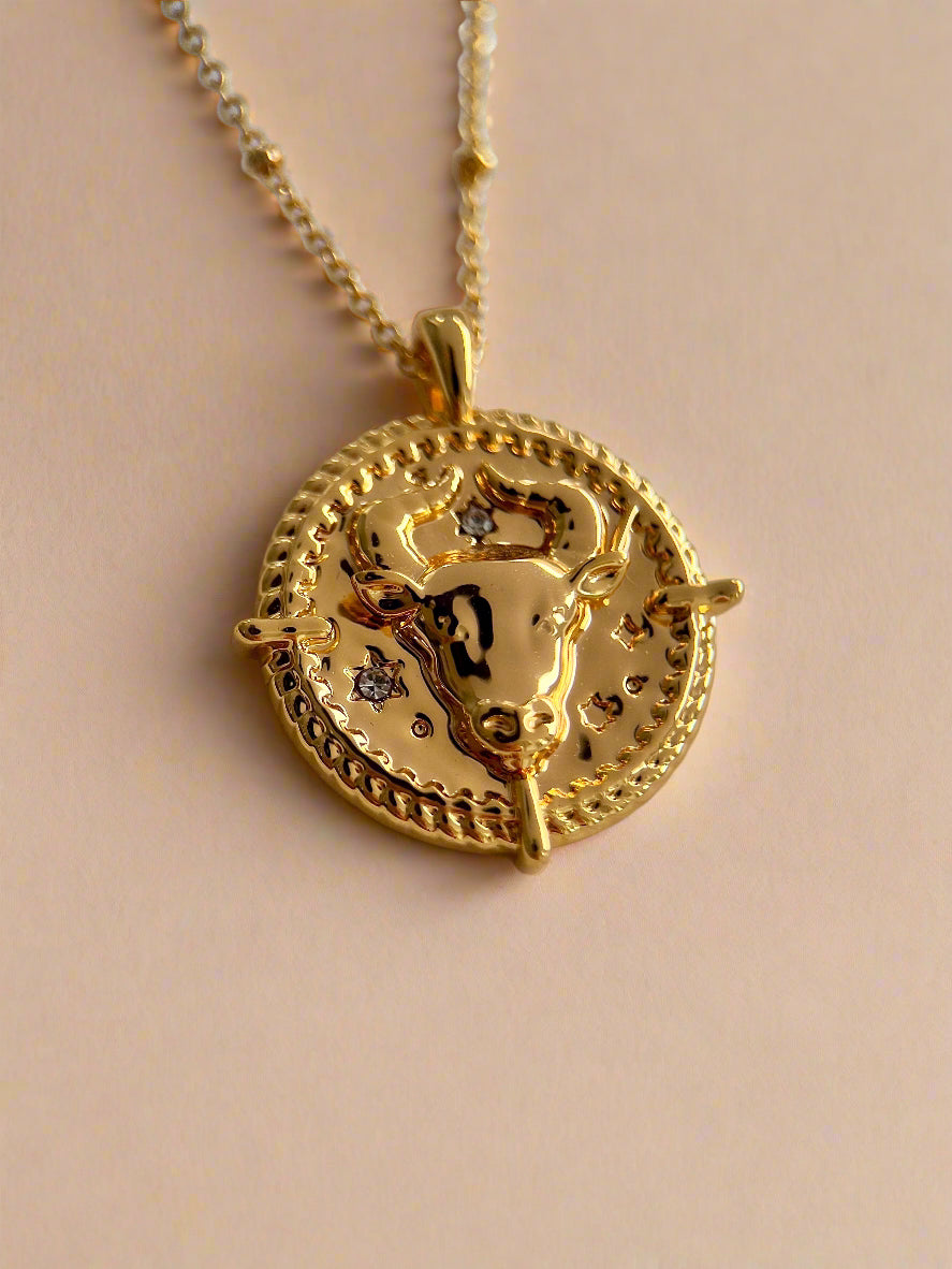 Zodiac Necklace Collection - www.Shopthatapp.com
