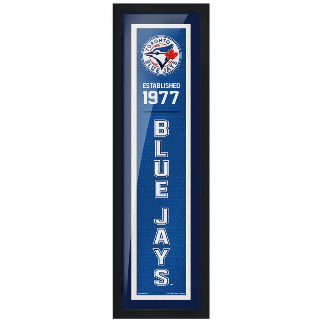 Toronto Blue Jays 6" x 22" Established Framed Sign - www.Shopthatapp.com #