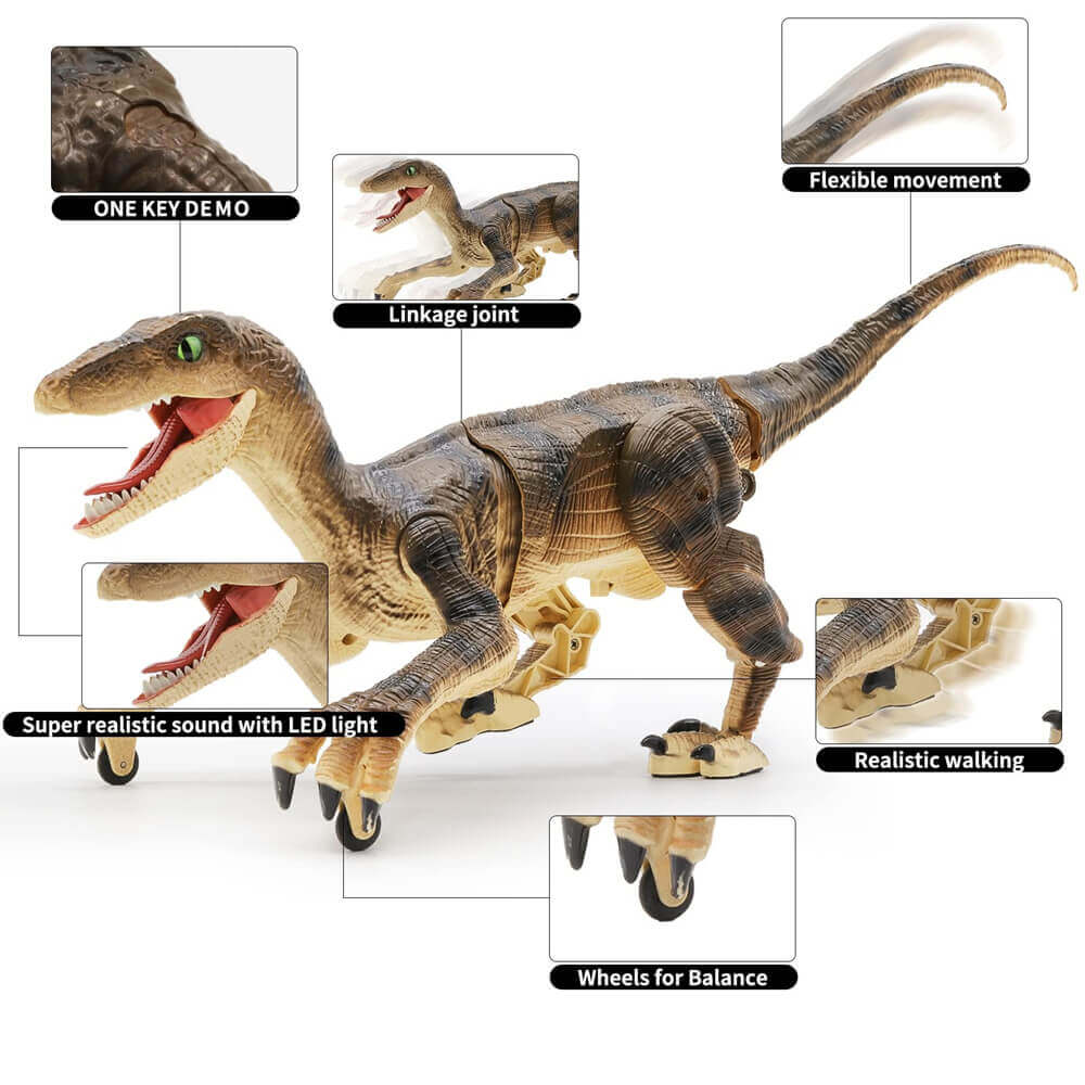 RC Velociraptor Dinosaur Toy with LED Lights & Roaring Sounds - Jurassic Fun - www.Shopthatapp.com
