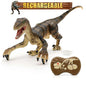 RC Velociraptor Dinosaur Toy with LED Lights & Roaring Sounds - Jurassic Fun - www.Shopthatapp.com