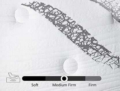 UltraFlex PLEASURE 10" Orthopedic, Cool Smart Gel Infused and Chill Memory Foam, Eco-friendly Mattress (Made in Canada) - www.Shopthatapp.com