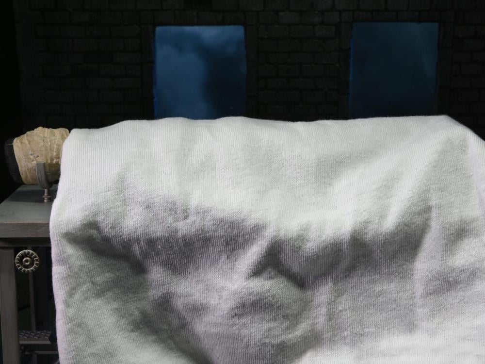 Universal Monsters Frankenstein Accessory Set - www.Shopthatapp.com #