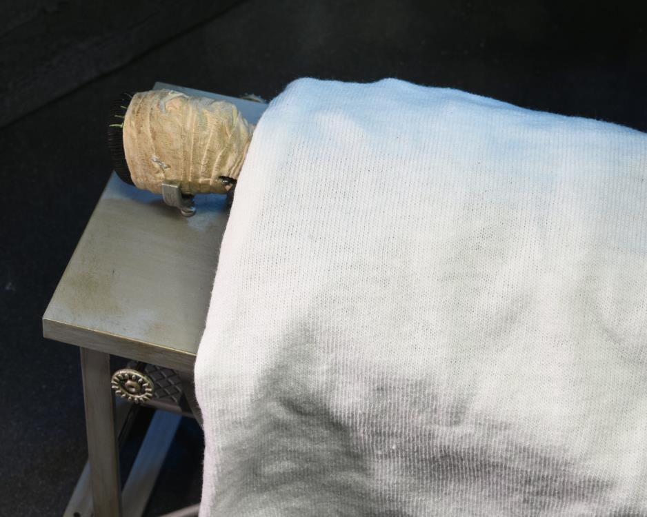 Universal Monsters Frankenstein Accessory Set - www.Shopthatapp.com #