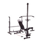 Weight Lifting Bench with Lat Pulldown Pulley &amp; Scott Bench (LHG SR-01) - www.Shopthatapp.com