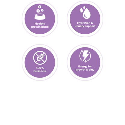 Wellness Complete Health Pâté Chicken & Lobster Cat Wet Food - Www.Shopthatapp.com