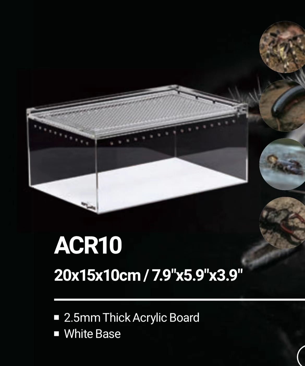 REPTIZOO Acrylic Breeding Enclosure ACR Series (Transparent) - www.Shopthatapp.com