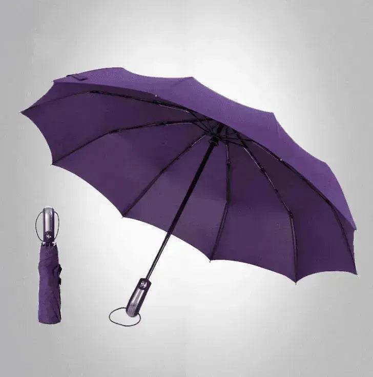 Windproof Auto Luxury Umbrella for Rain, Black Coating - www.Shopthatapp.com