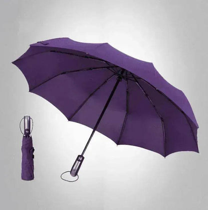 Windproof Auto Luxury Umbrella for Rain, Black Coating - www.Shopthatapp.com