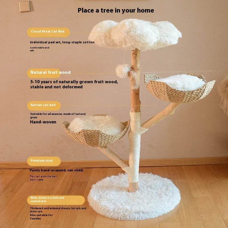 Natural Fruit Tree Cat Climbing Frame Solid Wood Rattan Cat Nest Cat Tree - www.Shopthatapp.com