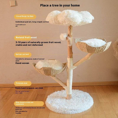 Natural Fruit Tree Cat Climbing Frame Solid Wood Rattan Cat Nest Cat Tree - www.Shopthatapp.com