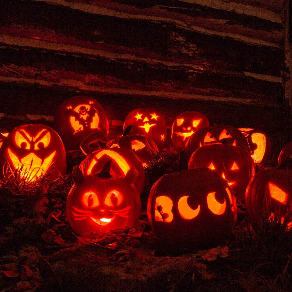 13Pcs Halloween Pumpkin Carving Kit Stainless Steel Carving Kit Pumpkin Sculpting Cutting Kit Halloween Decorative Tools - www.Shopthatapp.com