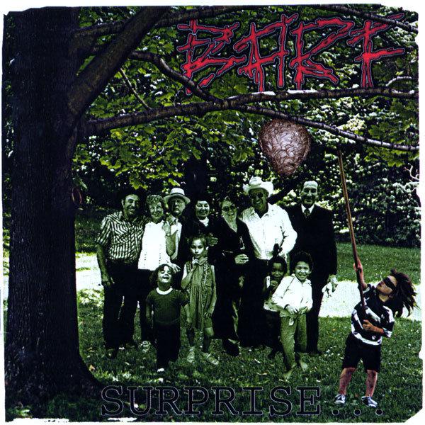 B.A.R.F. / Surprise - CD - www.Shopthatapp.com