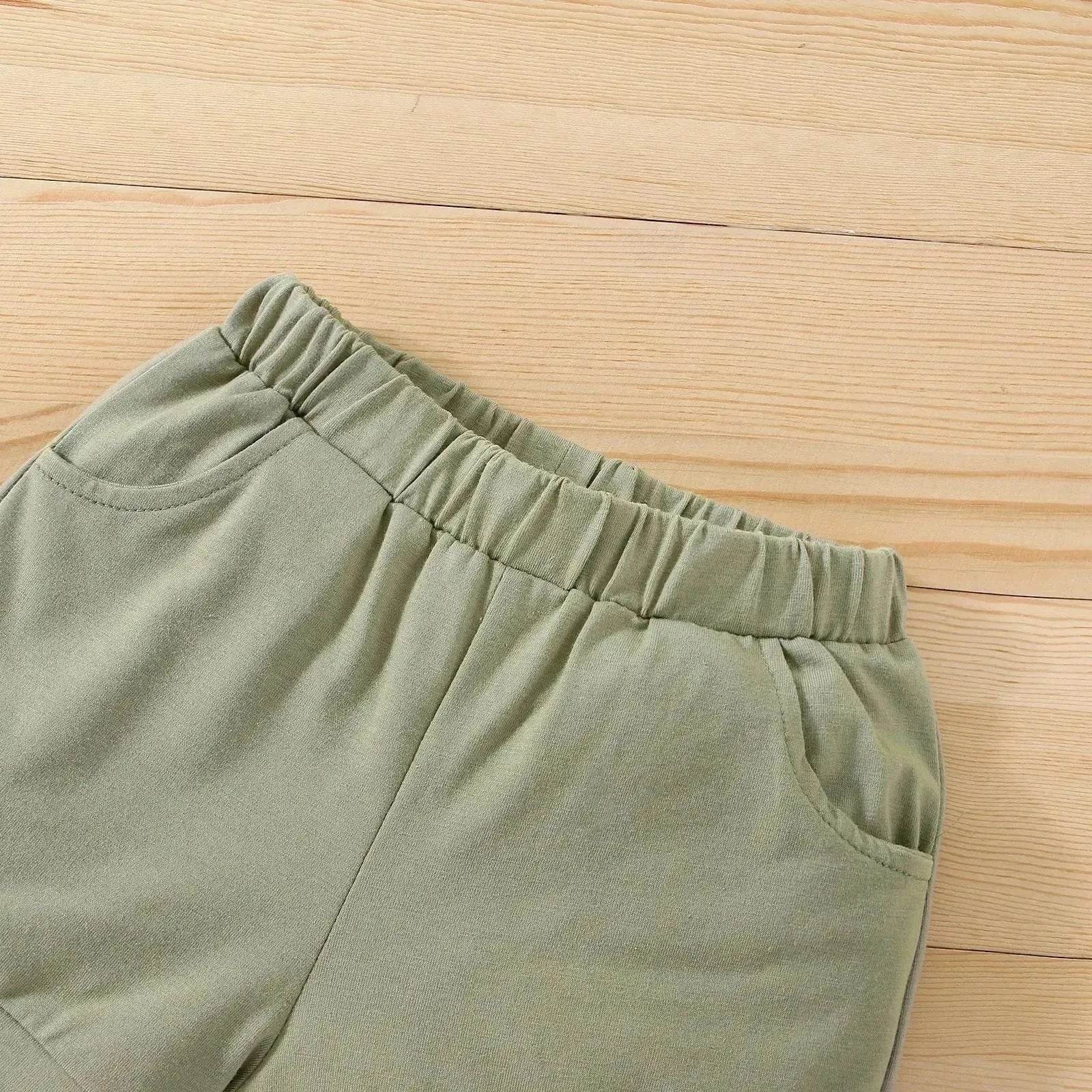 Boy's Little Dinosaur Lapel Cotton Short Sleeve Top Short Pants Suit Two piece for boys. - www.Shopthatapp.com