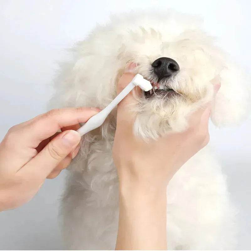 Buy 3pcs Pet Oral Care Kit Dog Cat Dental Care - www.Shopthatapp.com