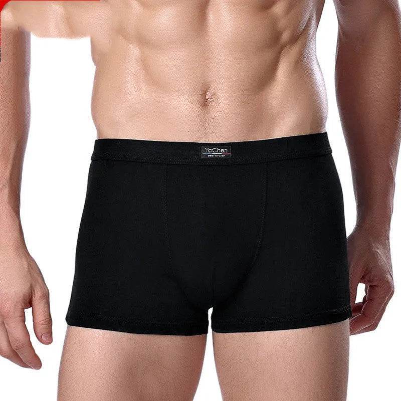Men's Underwear Boxer Briefs Panties Bamboo Fiber Modal - www.Shopthatapp.com
