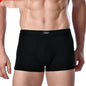 Men's Underwear Boxer Briefs Panties Bamboo Fiber Modal - www.Shopthatapp.com