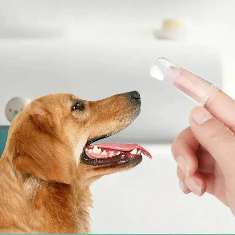 Buy 3pcs Pet Oral Care Kit Dog Cat Dental Care - www.Shopthatapp.com