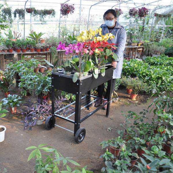 Rolling Mobile Raised Garden Bed Cart Planter Garden Bed Cart - www.Shopthatapp.com