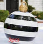 Christmas Ornament Holly Ball Outdoor Tree Decoration Christmas Balls for Yards - www.Shopthatapp.com