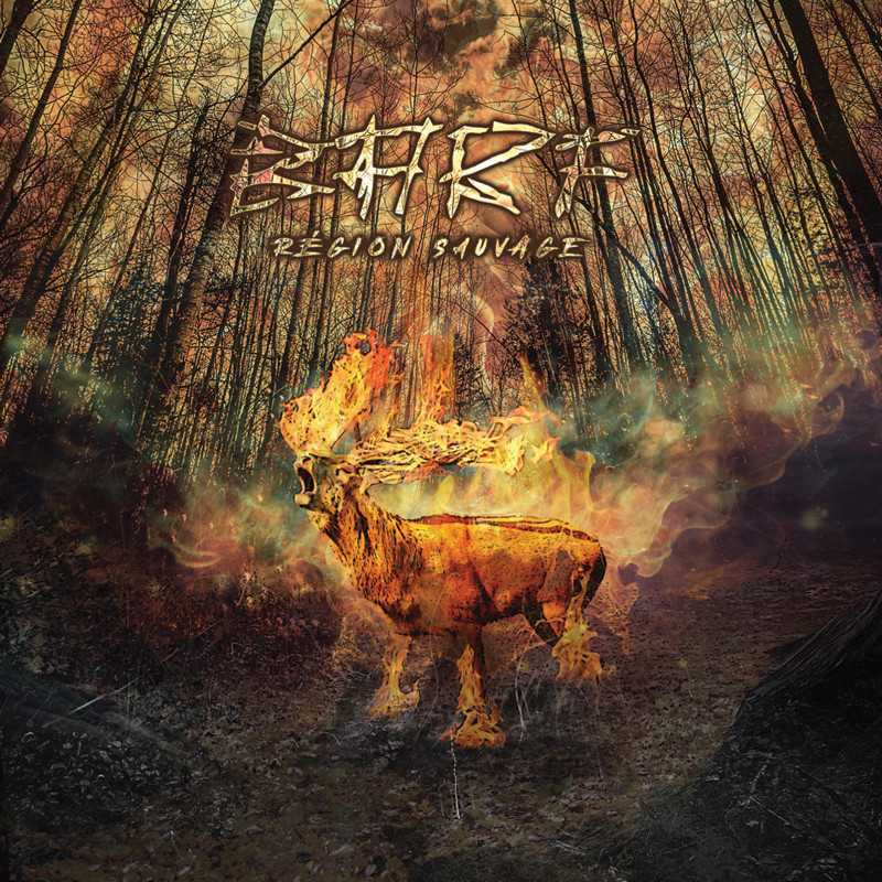 BARF / RÉGION SAUVAGE - LP - www.Shopthatapp.com