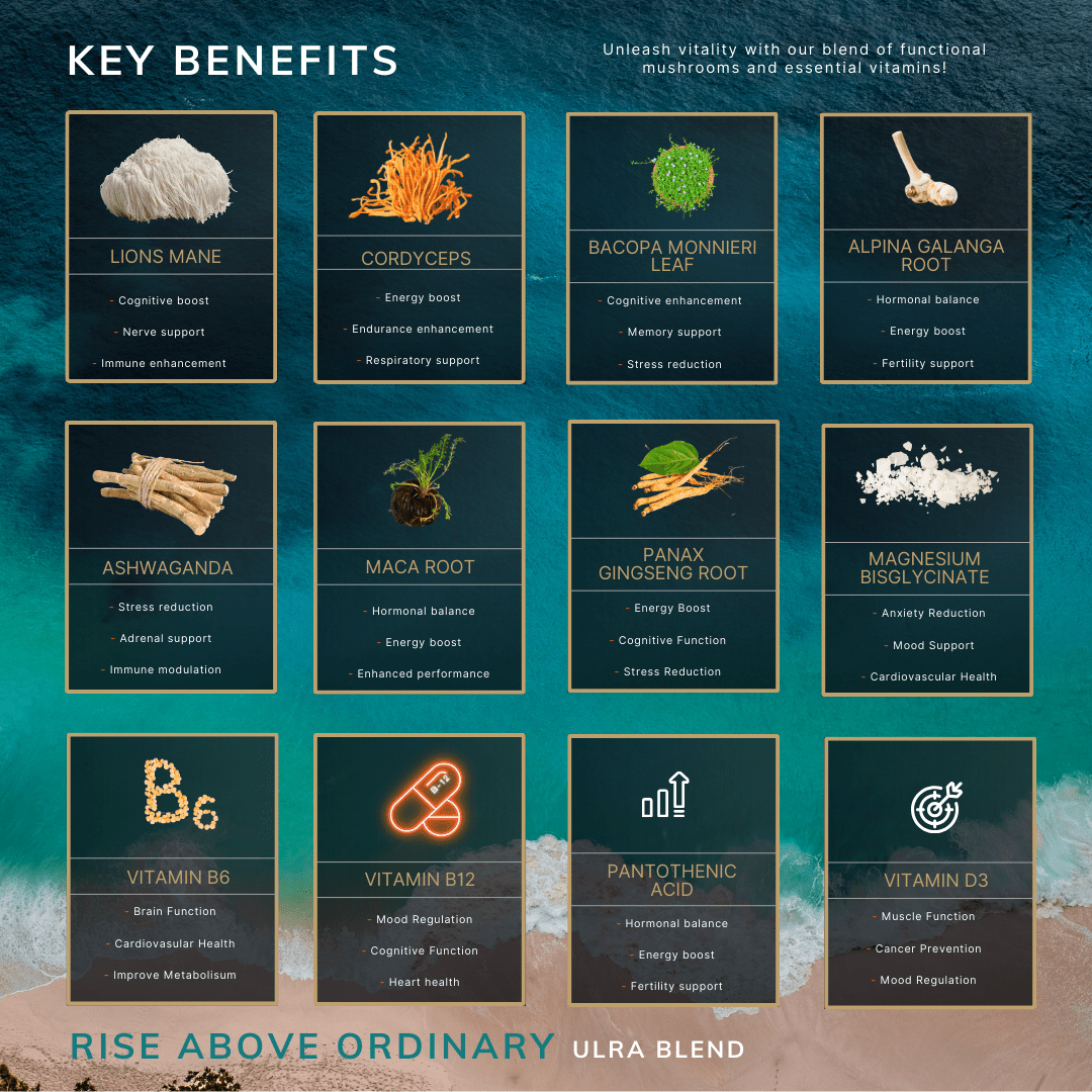 ULTRA MUSHROOM BLEND BLUE RASPBERRY FLAVOUR - www.Shopthatapp.com